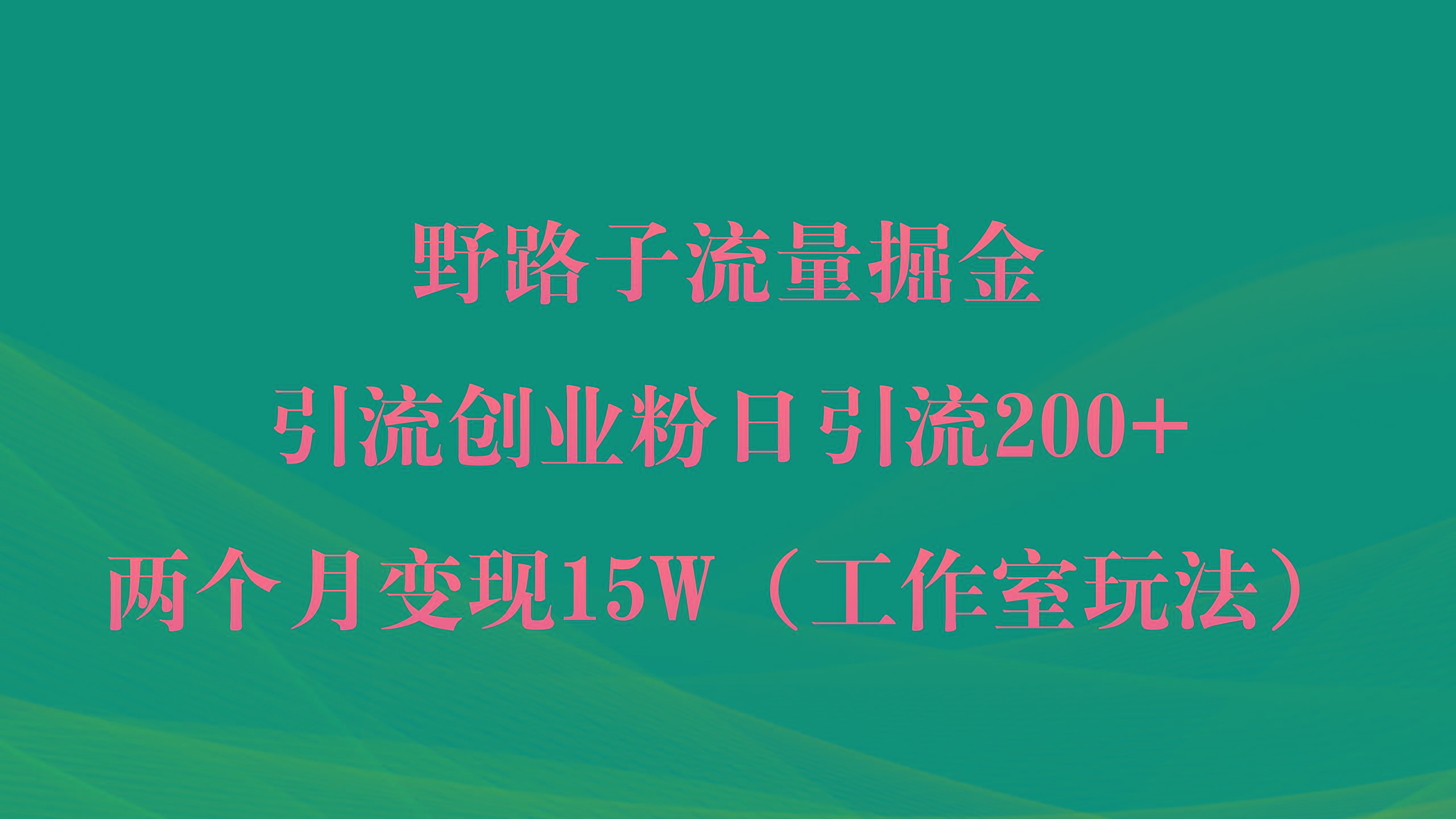 (9513期)野路子流量掘金，引流创业粉日引流200+，两个月变现15W(工作室玩法))-E网资源