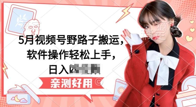 5月视频号野路子搬运，软件操作轻松上手，日入三位数【揭秘】-E网资源