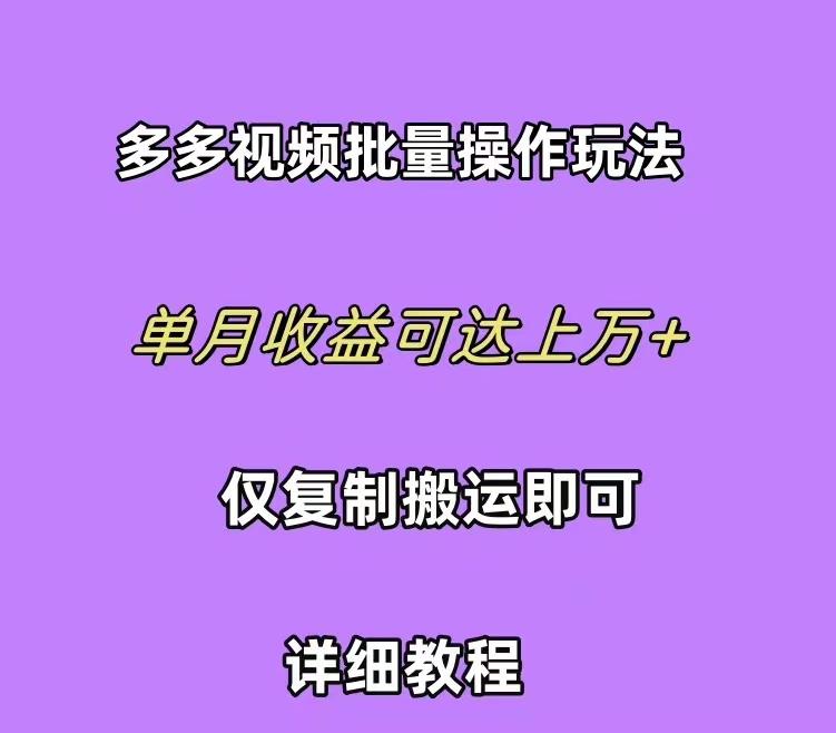 (10029期)拼多多视频带货快速过爆款选品教程 每天轻轻松松赚取三位数佣金 小白必…-E网资源
