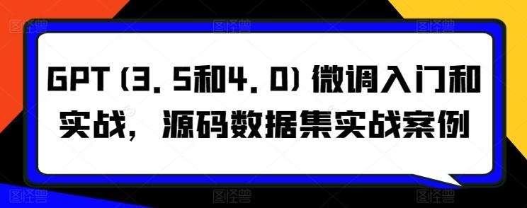 GPT(3.5和4.0)微调入门和实战，源码数据集实战案例-E网资源