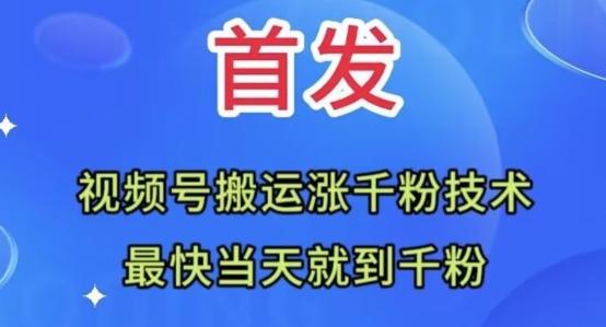 全网首发：视频号无脑搬运涨千粉技术，最快当天到千粉【揭秘】-E网资源