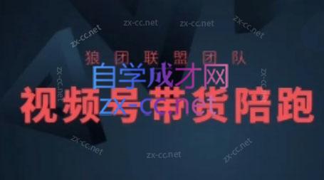 狼团联盟·2024视频号带货-E网资源