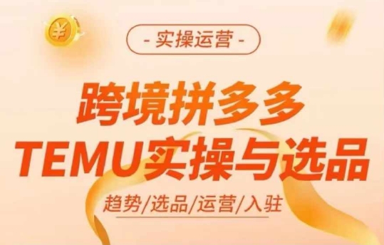 跨境拼多多TEMU实操与选品，多多temu跨境选品运营实操-E网资源