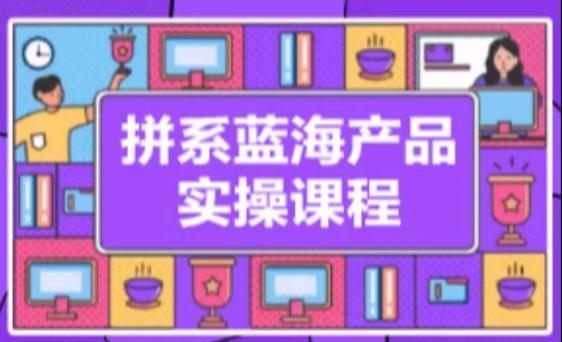 拼系冷门蓝海产品实操课程，从注册店铺到选品上架到流量维护环环相扣-E网资源