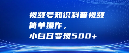 视频号知识科普视频，简单操作，小白日变现500+【揭秘】-E网资源