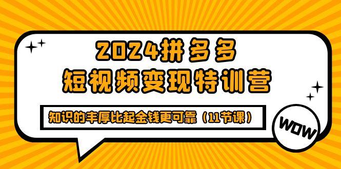 (9817期)2024拼多多短视频变现特训营，知识的丰厚比起金钱更可靠(11节课)-E网资源