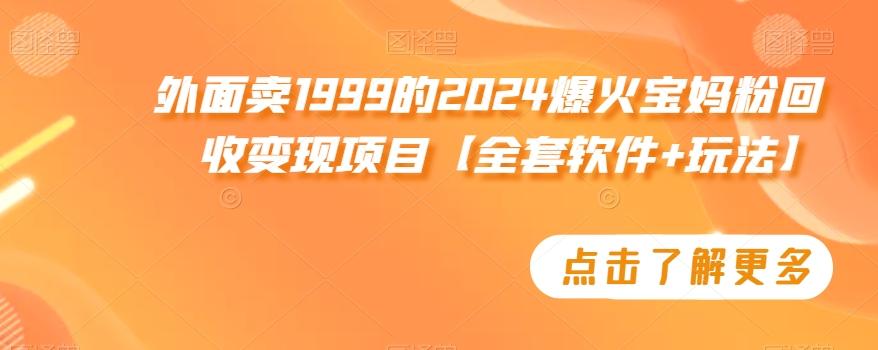外面卖1999的2024爆火宝妈粉回收变现项目【全套软件+玩法】【揭秘】-E网资源