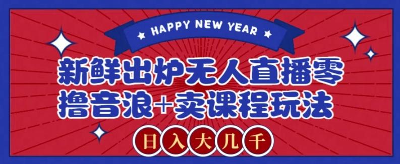 2024最新无人直播零撸音浪+卖课程玩法，日入大几千不是梦【揭秘】-E网资源