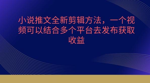 小说推文全新剪辑方法，一个视频可以结合多个平台去发布获取【揭秘】-E网资源