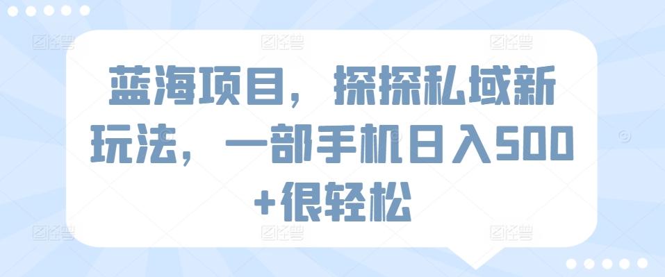 蓝海项目，探探私域新玩法，一部手机日入500+很轻松【揭秘】-E网资源