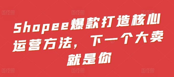 Shopee爆款打造核心运营方法，下一个大卖就是你-E网资源