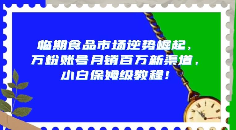 临期食品市场逆势崛起，万粉账号月销百万新渠道，小白保姆级教程【揭秘】-E网资源