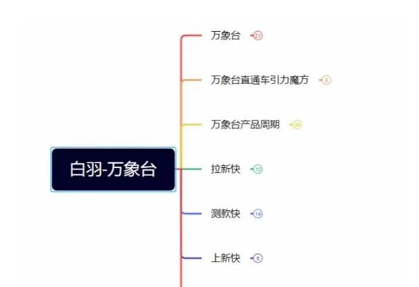 白羽·直引万搜索全篇，从0-1，多个类目实操经验总结付费-E网资源