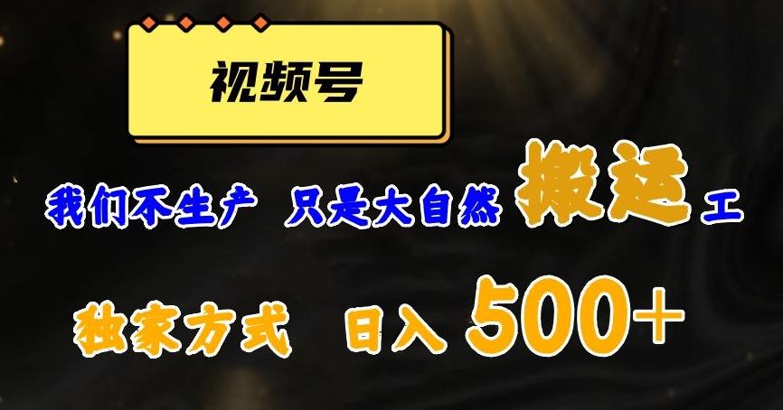 视频号轻松搬运日赚500+，一个1分钟1条原创视频【揭秘】-E网资源