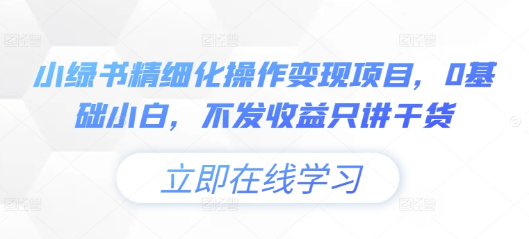 小绿书精细化操作变现项目，0基础小白，不发收益只讲干货-E网资源