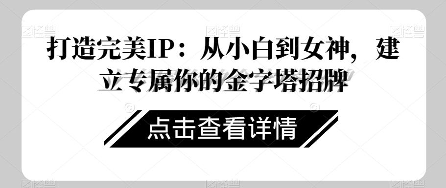 打造完美IP：从小白到女神，建立专属你的金字塔招牌-E网资源