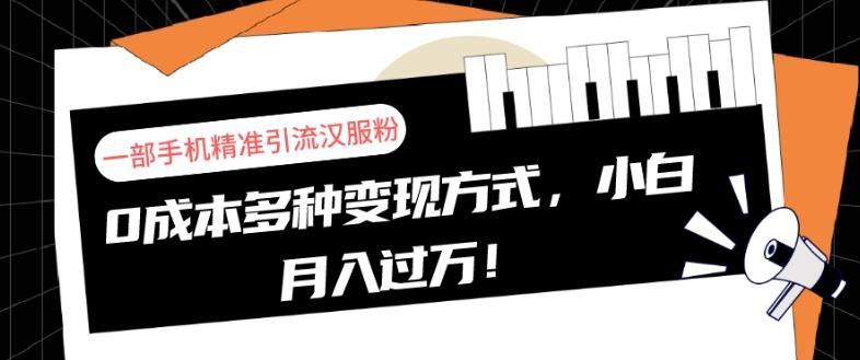 一部手机精准引流汉服粉，0成本多种变现方式，小白月入过万！-E网资源