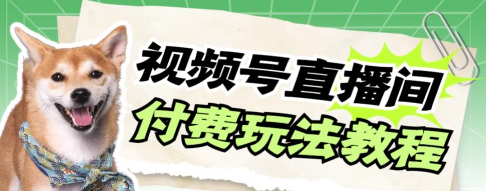视频号美女付费无人直播，轻松日入500+【详细玩法教程】-E网资源