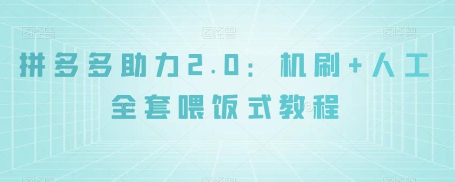 拼多多助力2.0：机刷+人工全套喂饭式教程【揭秘】-E网资源