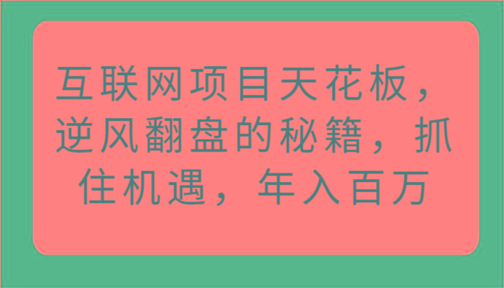 互联网项目天花板，逆风翻盘的秘籍，抓住机遇，年入百万-E网资源