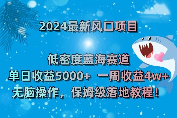 (8545期)2024最新风口项目 低密度蓝海赛道，日收益5000+周收益4w+ 无脑操作，保…-E网资源