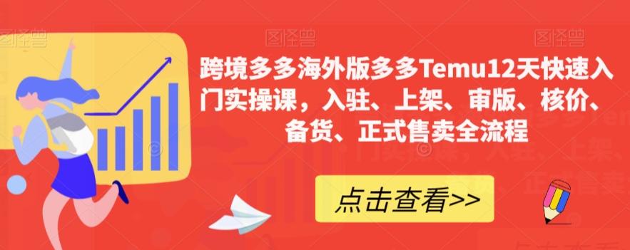 跨境多多海外版多多Temu12天快速入门实操课，入驻、上架、审版、核价、备货、正式售卖全流程-E网资源