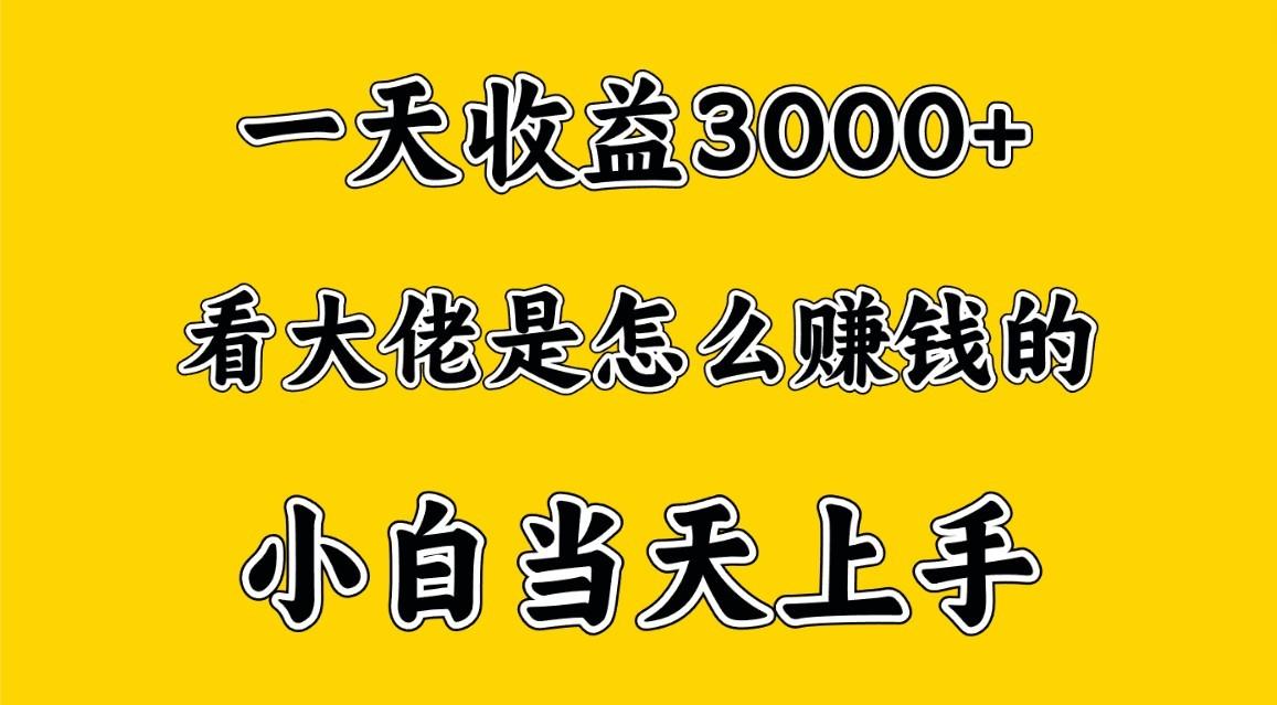 一天赚3000多，大佬是这样赚到钱的，小白当天上手，穷人翻身项目-E网资源