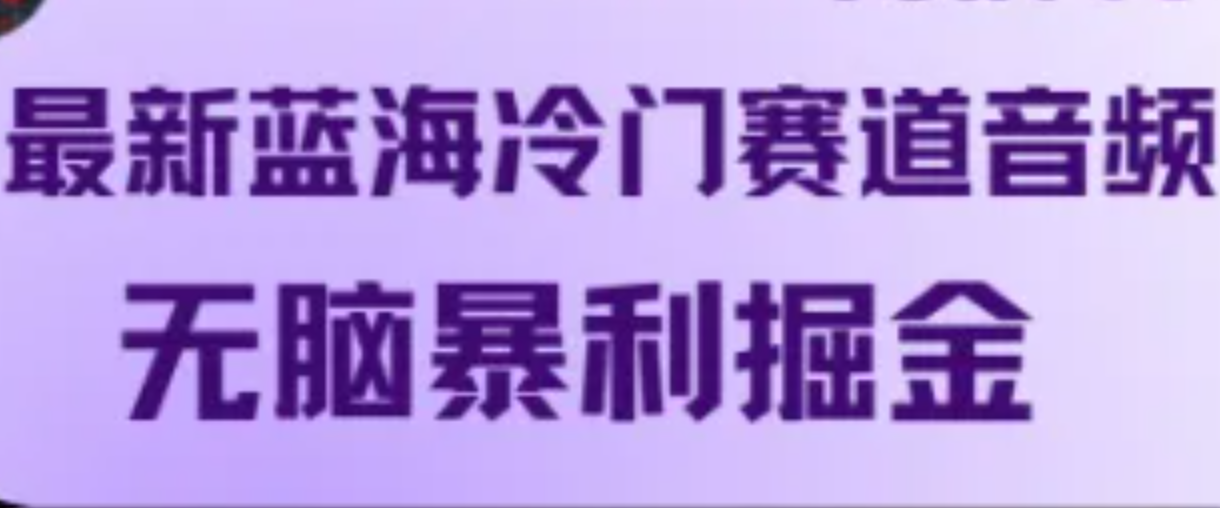 最新蓝海冷门赛道音频，无脑暴利掘金-E网资源
