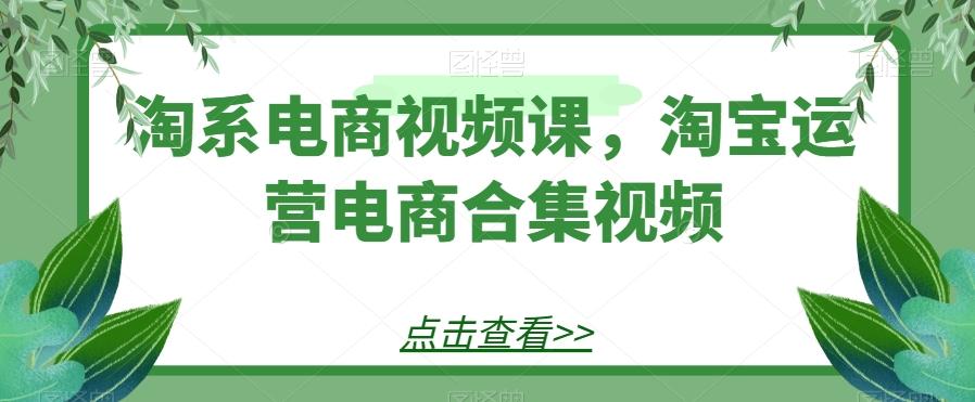 淘系电商视频课，淘宝运营电商合集视频-E网资源