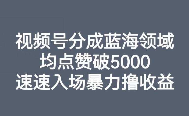 视频号分成蓝海领域，均点赞破5000，速速入场暴力撸收益-E网资源