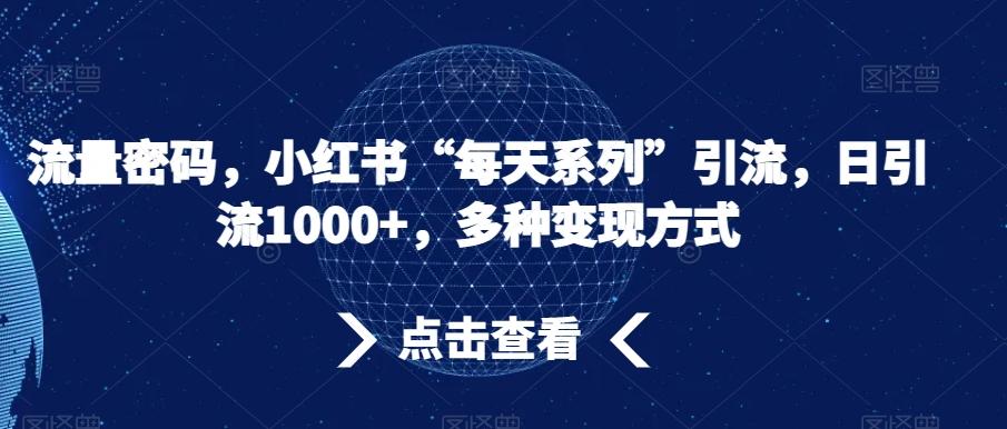 流量密码，小红书“每天系列”引流，日引流1000+，多种变现方式【揭秘】-E网资源