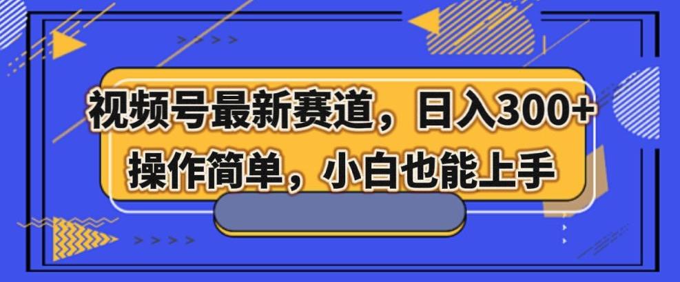 视频号最新赛道，日入300+，新手小白轻松掌握-E网资源