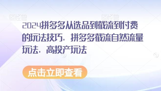 2024拼多多从选品到截流到付费的玩法技巧，拼多多截流自然流量玩法，高投产玩法-E网资源