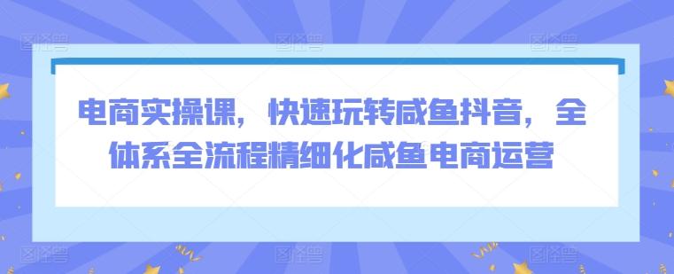 电商实操课，快速玩转咸鱼抖音，全体系全流程精细化咸鱼电商运营-E网资源