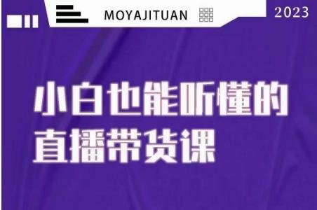大威本威·能听懂的直播带货课，小白也能听懂，20节完整-E网资源