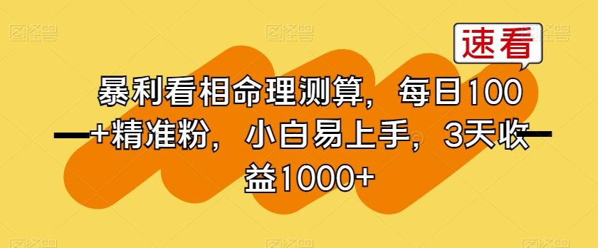 暴利看相命理测算，每日100+精准粉，小白易上手，3天收益1000+【揭秘】-E网资源