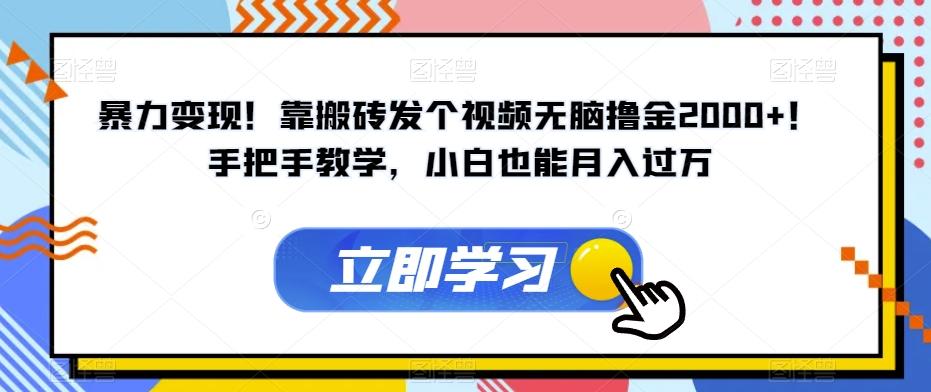 暴力变现！靠搬砖发个视频无脑撸金2000+！手把手教学，小白也能月入过万【揭秘】-E网资源