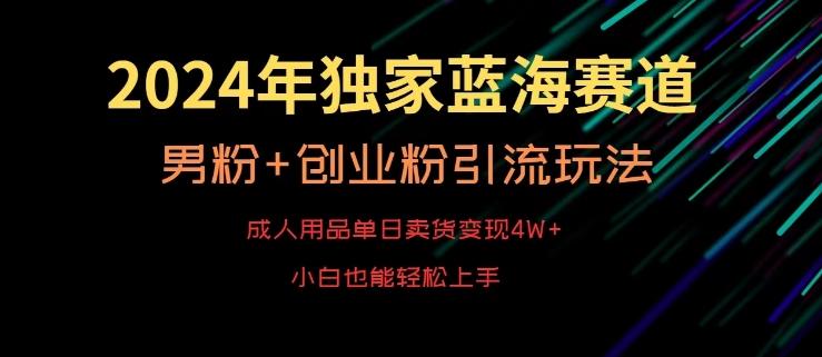 2024年独家蓝海赛道，成人用品单日卖货变现4W+，男粉+创业粉引流玩法，不愁搞不到流量【揭秘】-E网资源
