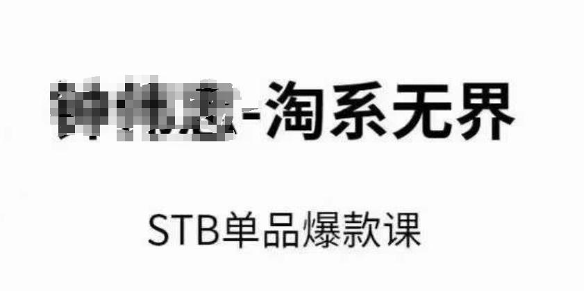淘系无界STB单品爆款课(2024)，付费带动免费的核心逻辑，万相台无界关键词推广/精准人群的核心-E网资源