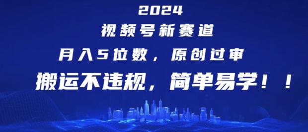 2024视频号新赛道，月入5位数+，原创过审，搬运不违规，简单易学【揭秘】-E网资源
