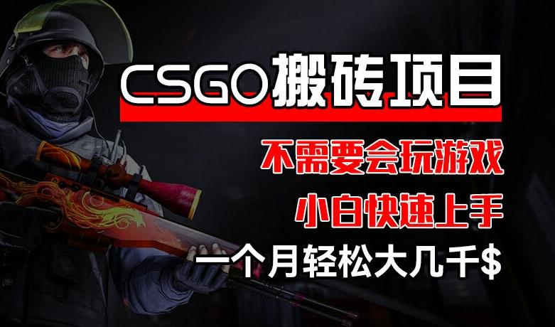 CSGO 装备搬砖项目，操作简单，不需要会玩游戏，小白也能快速上手，一个月轻松大几千【揭秘】-E网资源