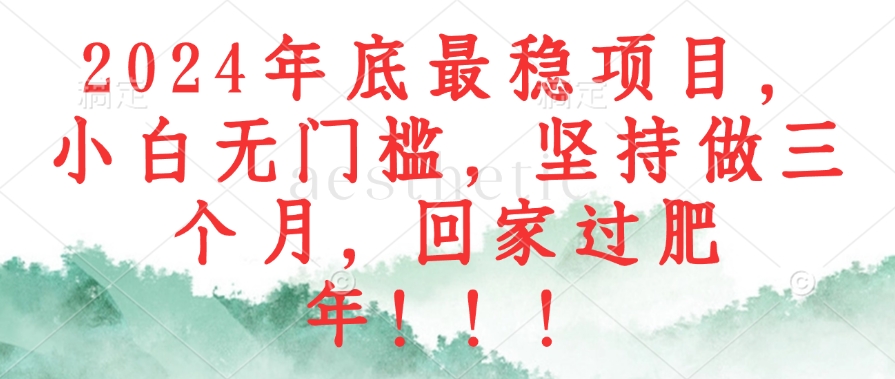 2024年底最稳项目，小白无门槛，坚持做三个月，回家过肥年！！！-E网资源