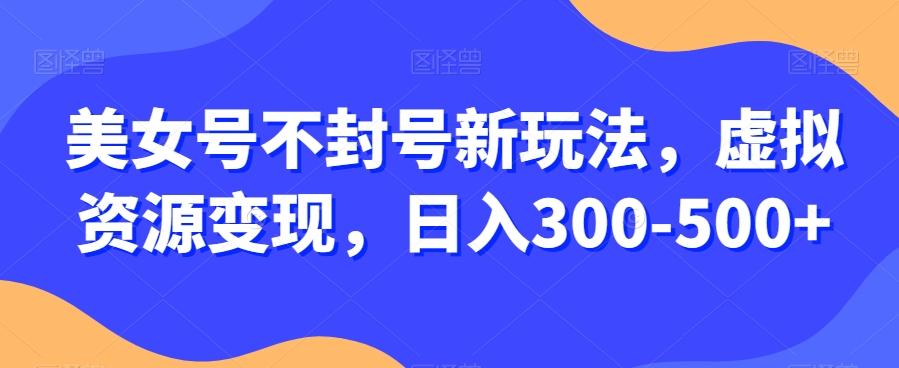 美女号不封号新玩法，虚拟资源变现，日入300-500+-E网资源