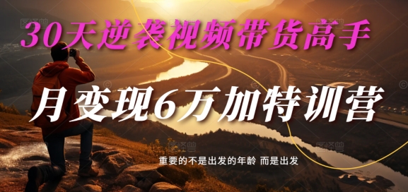 30天逆袭视频带货高手，单月变现6万加特训营-麦子甜-E网资源