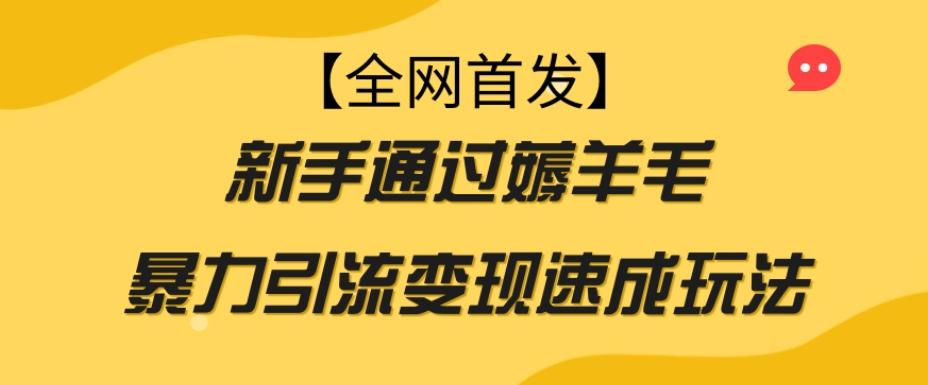 【全网首发】新手通过薅羊毛暴力引流变现速成玩法-E网资源