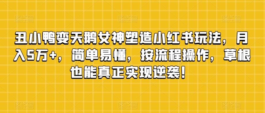 丑小鸭变天鹅女神塑造小红书玩法，月入5万+，简单易懂，按流程操作，草根也能真正实现逆袭！-E网资源