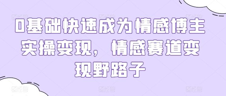 0基础快速成为情感博主实操变现，情感赛道变现野路子-E网资源
