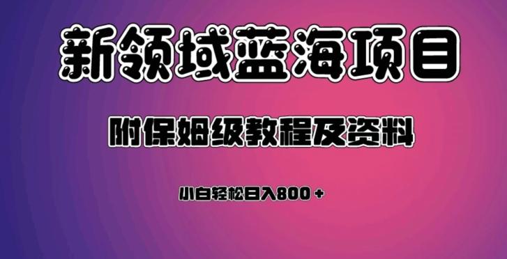 虚拟资源蓝海领域新项目，轻松日入800＋，附保姆级教程及资料-E网资源