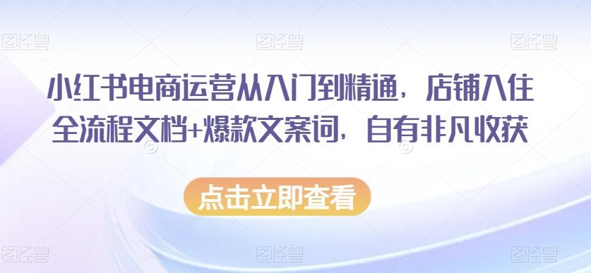 小红书电商运营从入门到精通，店铺入住全流程文档+爆款文案词，自有非凡收获-E网资源