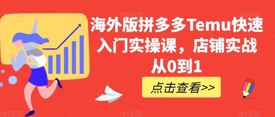 海外版拼多多Temu快速入门实操课，店铺实战从0到1-E网资源